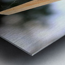 1456 Metal print
