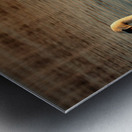 1561 Metal print