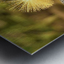 1724 Metal print