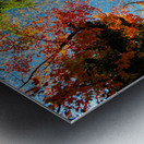 2678 Metal print