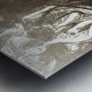 3326 Metal print