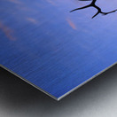 3327 Metal print