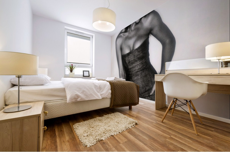 674 Mural print