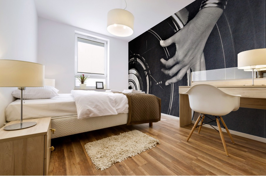 804 Mural print