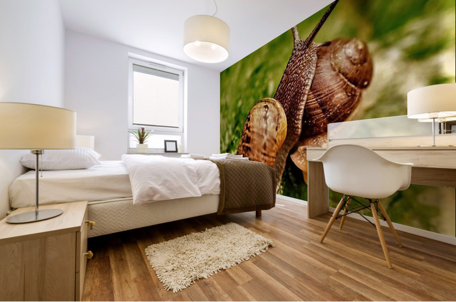 2074 Mural print