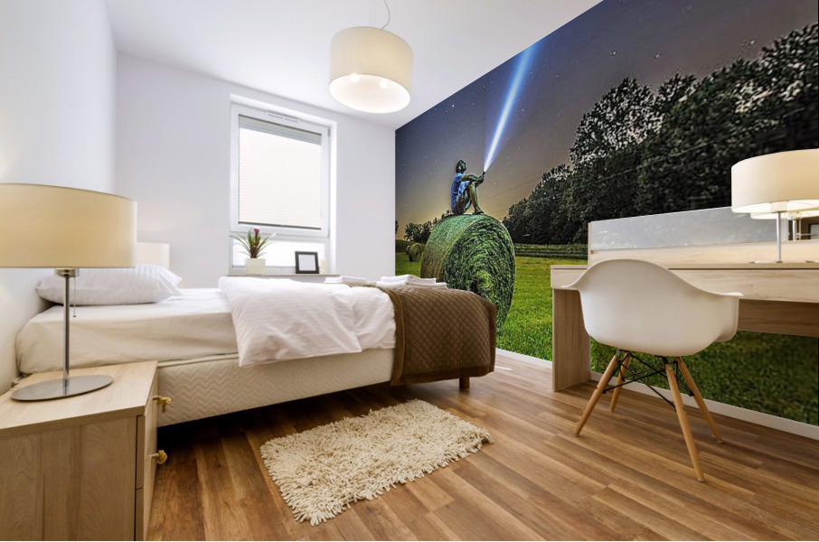 2250 Mural print