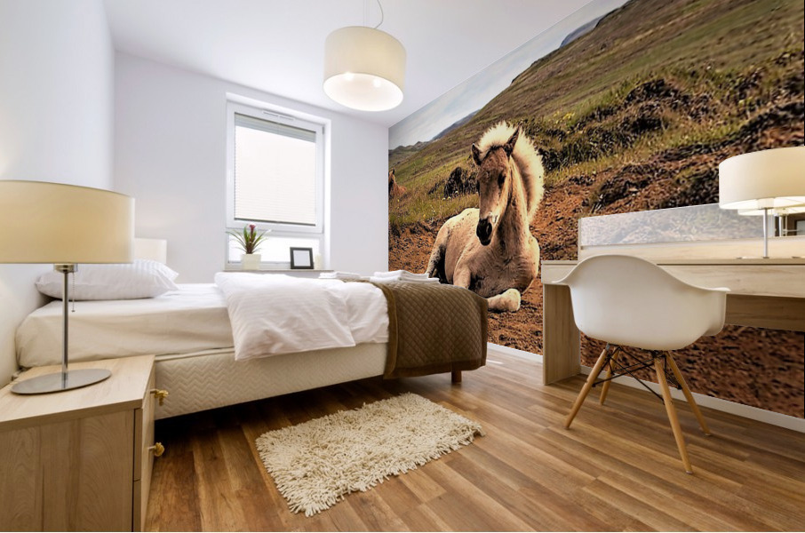 2306 Mural print