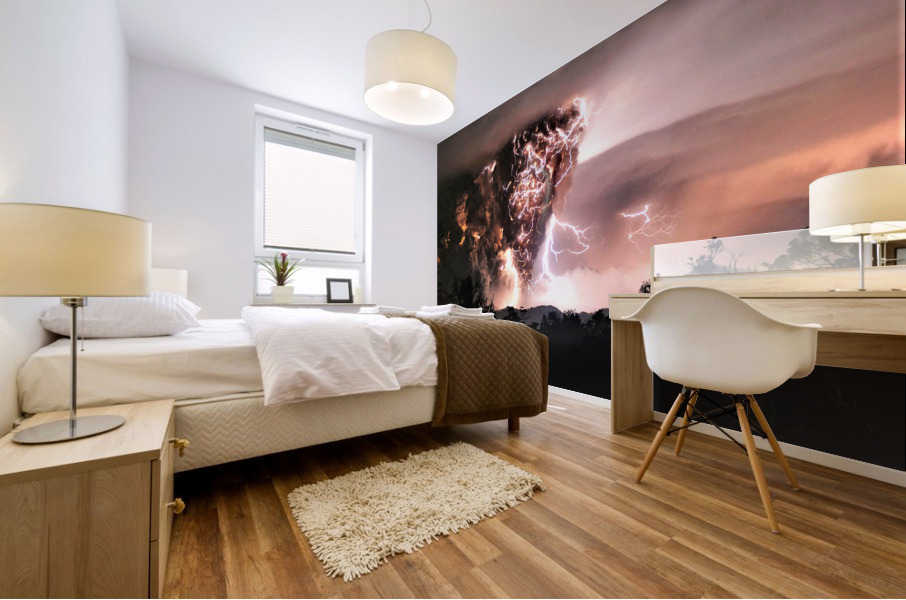 2565 Mural print