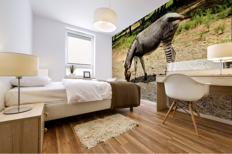 2646 Mural print