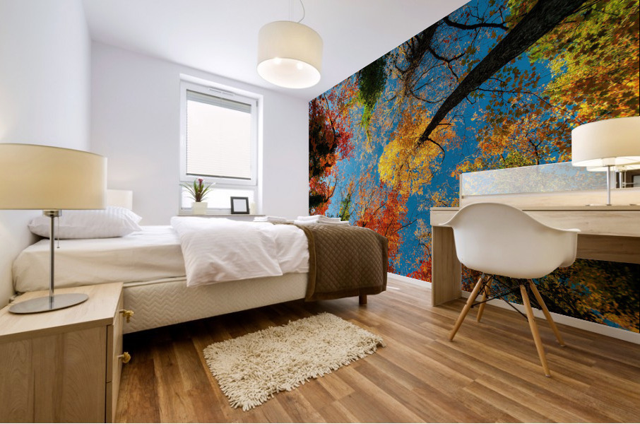 2678 Mural print