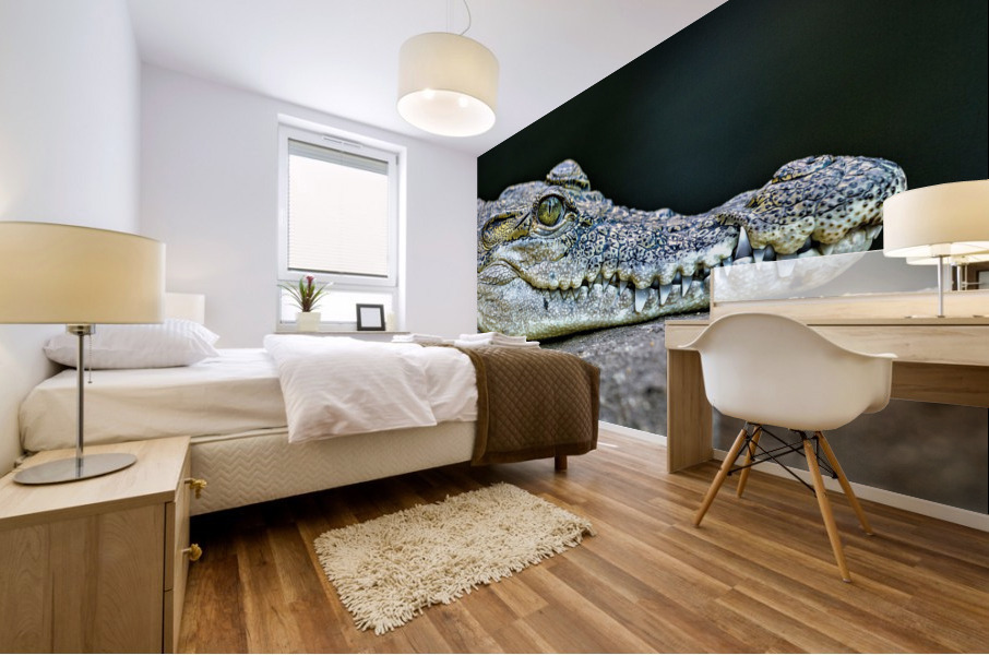2770 Mural print