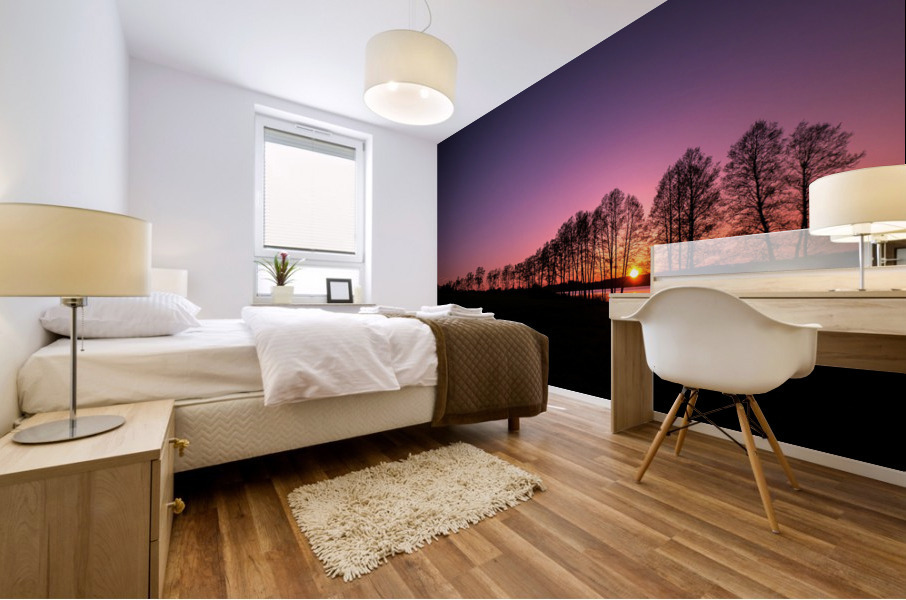 2804 Mural print