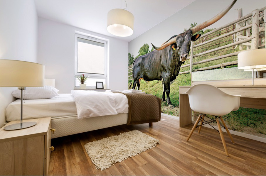 2847 Mural print