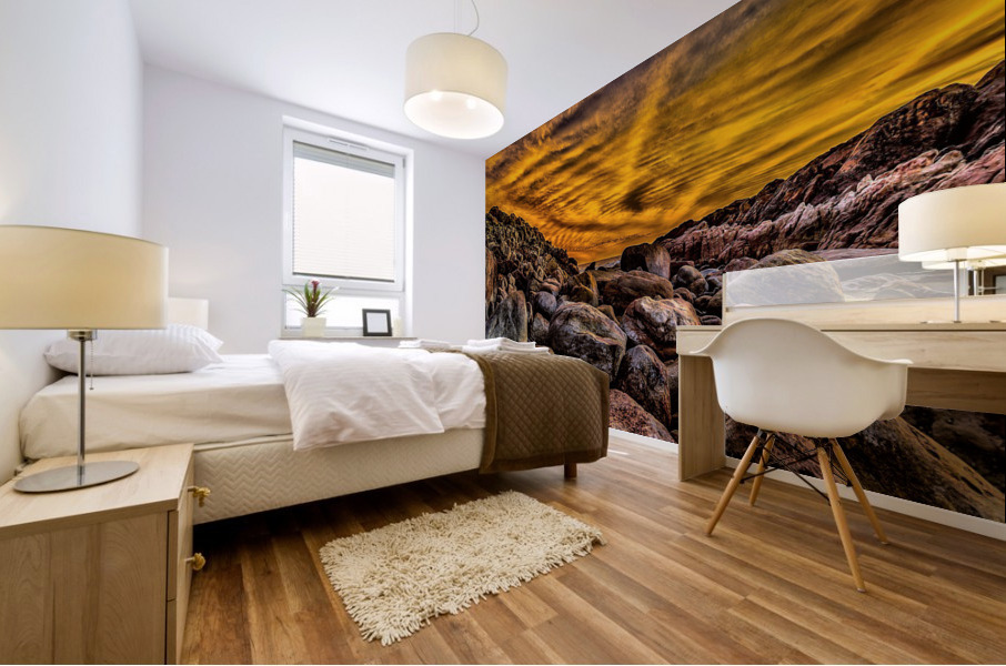 2861 Mural print