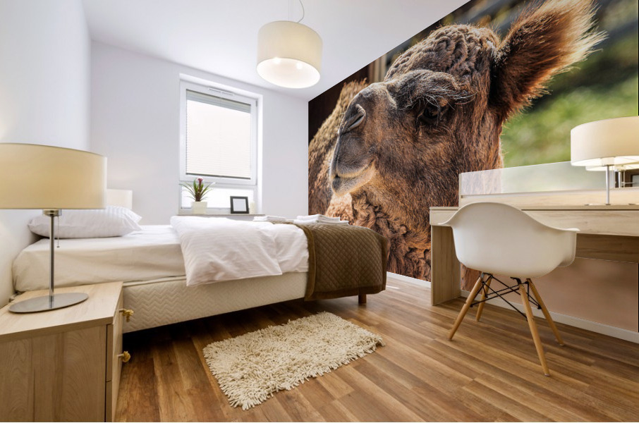 3273 Mural print