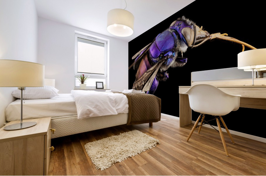 3296 Mural print