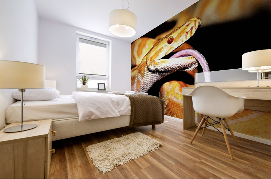 3359 Mural print