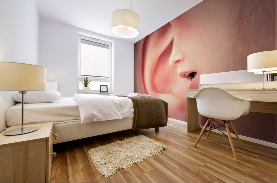 3425 Mural print