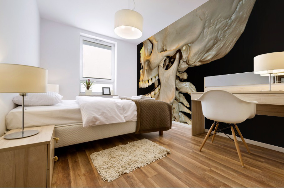 3430 Mural print