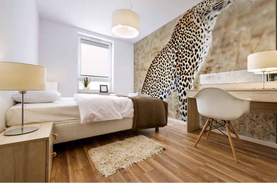 3441 Mural print