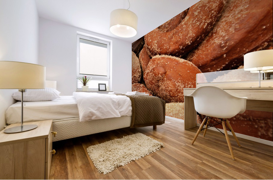 3443 Mural print
