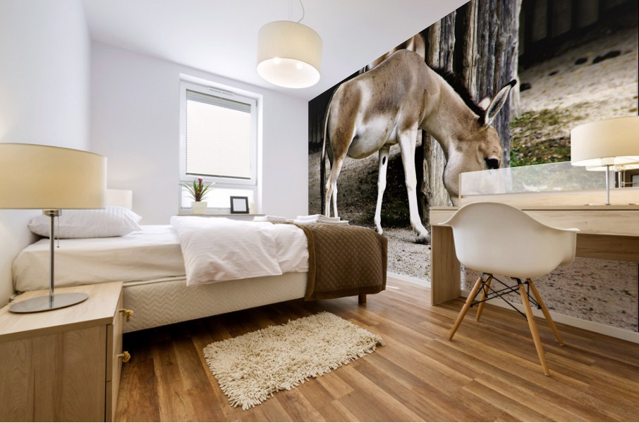 3446 Mural print