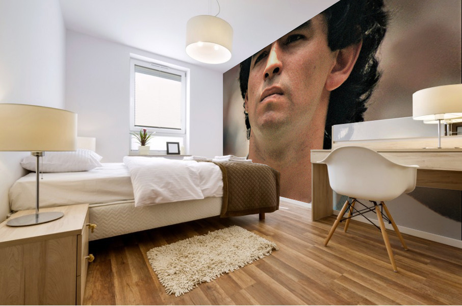 3454 Mural print