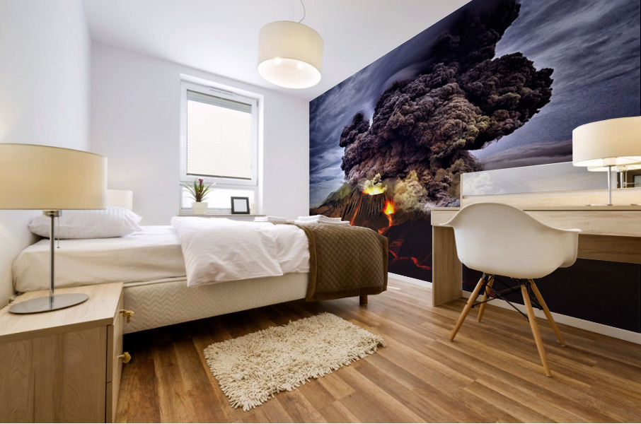 3463 Mural print