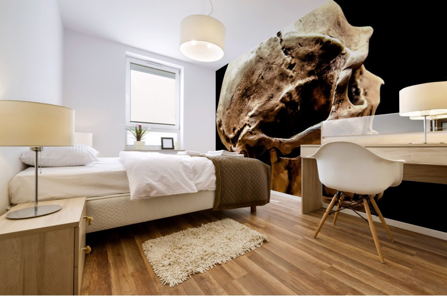3465 Mural print