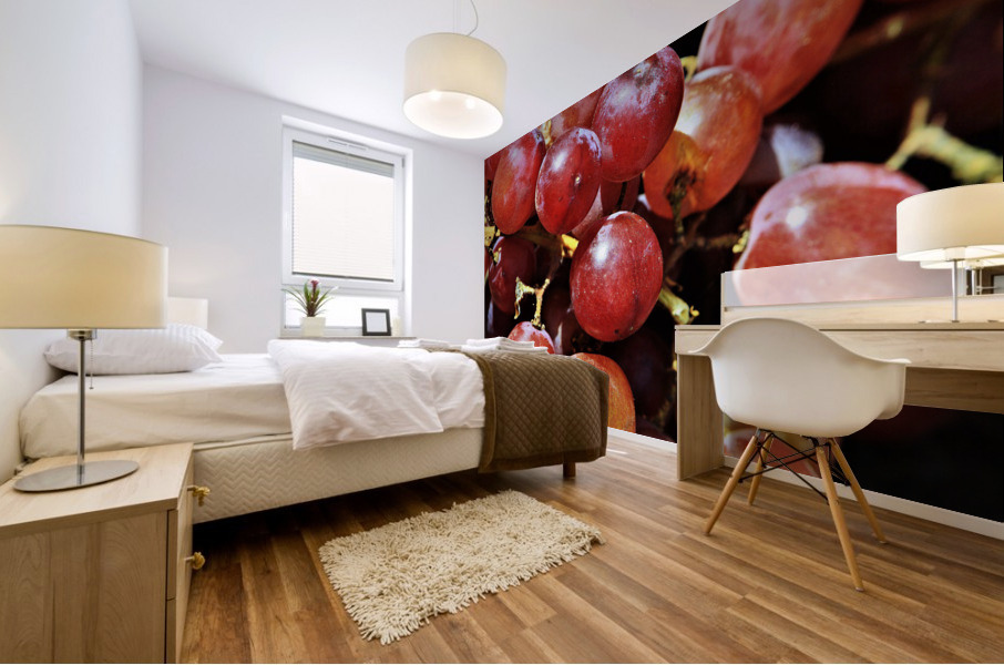 3474 Mural print