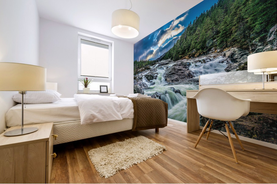 3484 Mural print