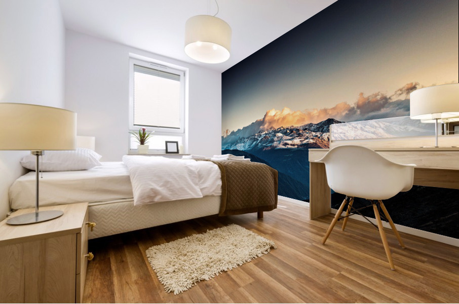 3491 Mural print