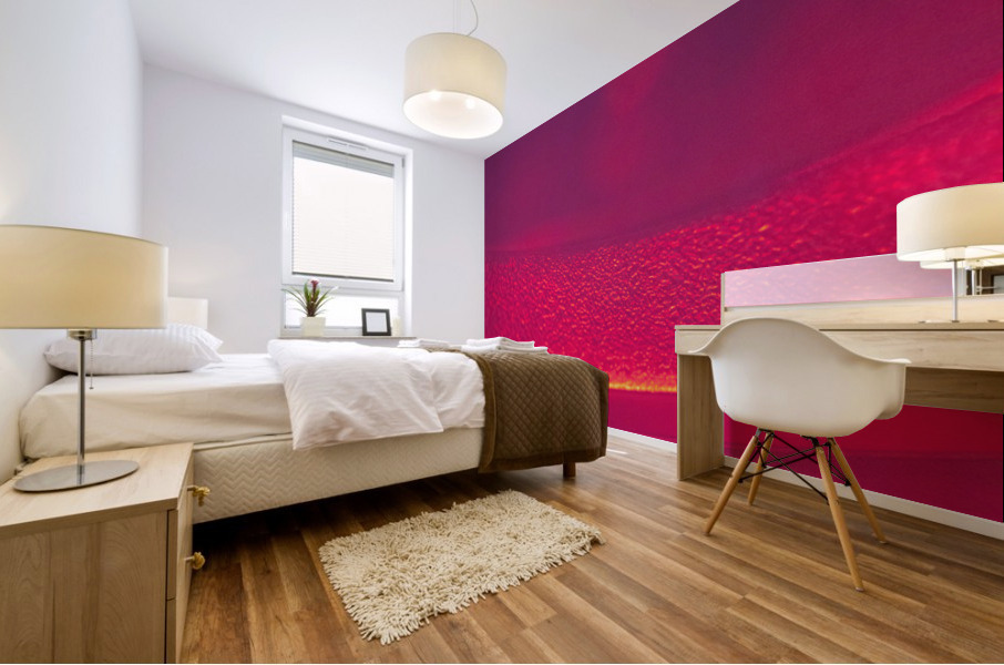 3492 Mural print
