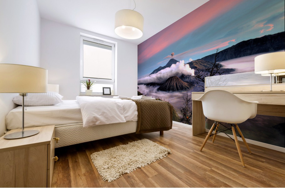 3494 Mural print