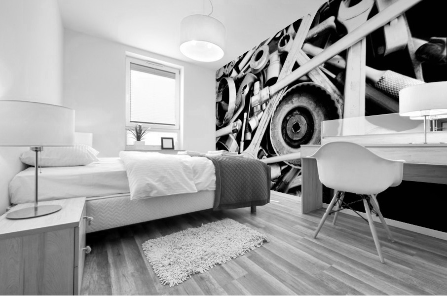 3497 Mural print