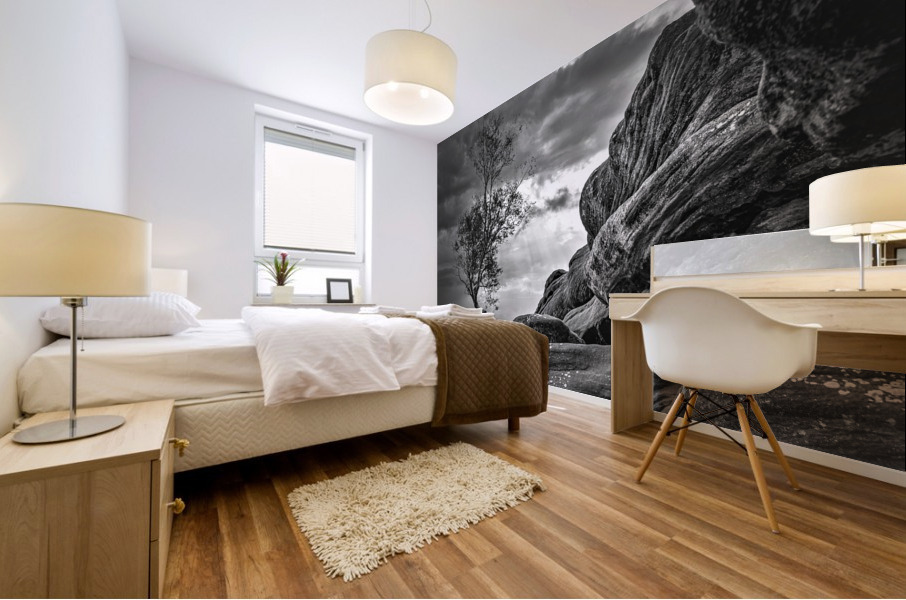 3513 Mural print