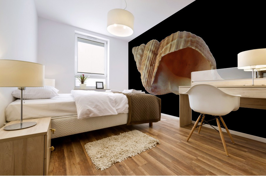 3564 Mural print