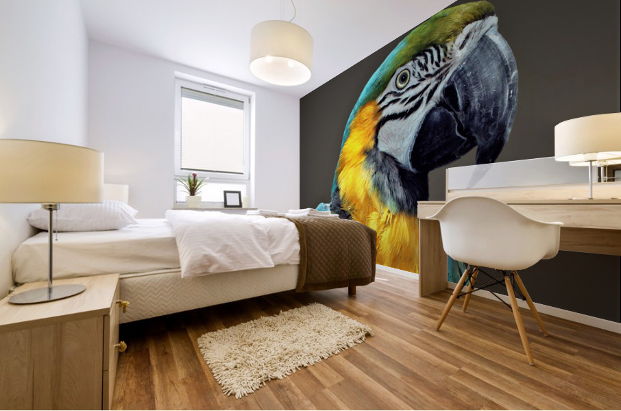 3569 Mural print
