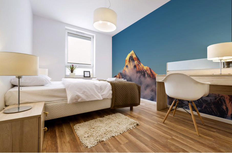3620 Mural print