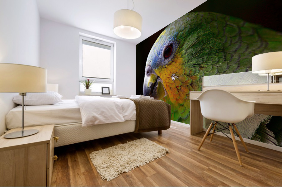 3633 Mural print