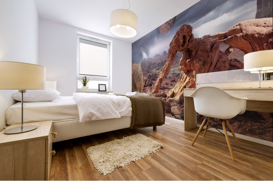 3642 Mural print