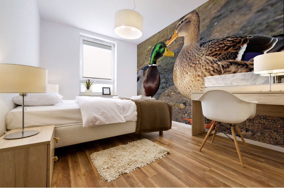 3649 Mural print