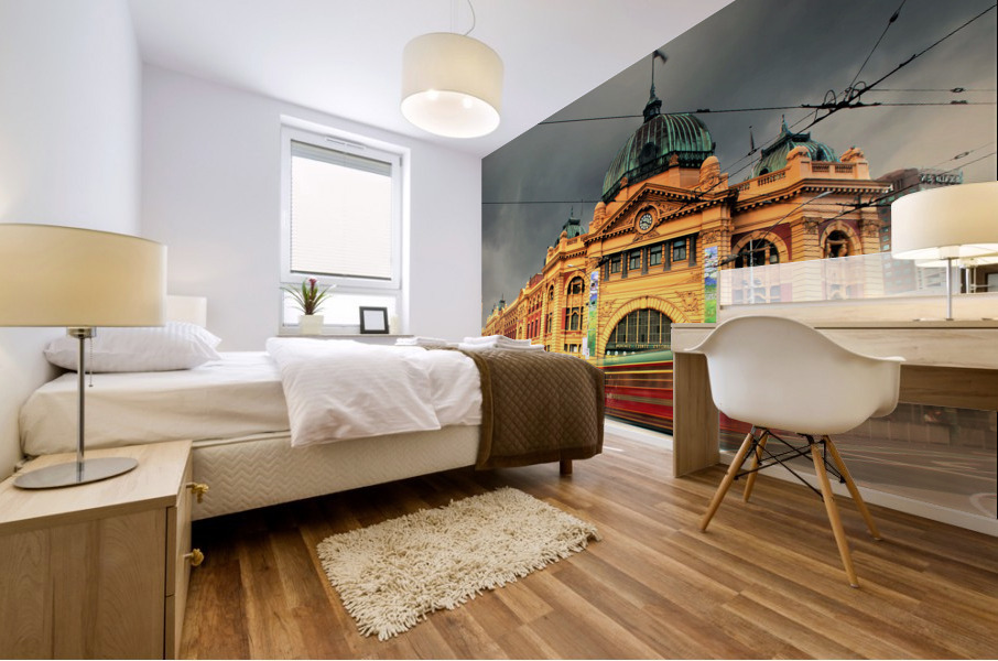 3662 Mural print