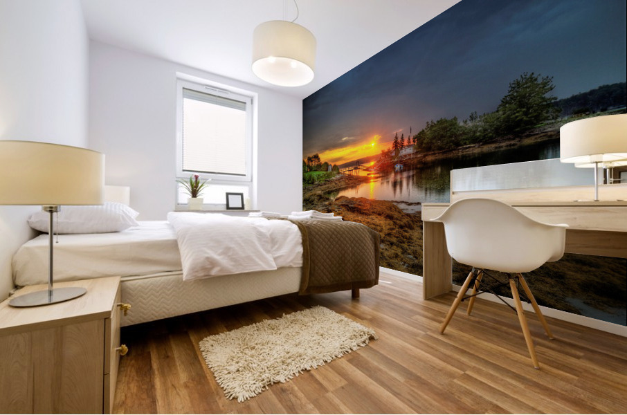 3729 Mural print