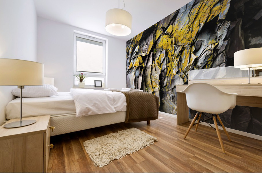 3740 Mural print
