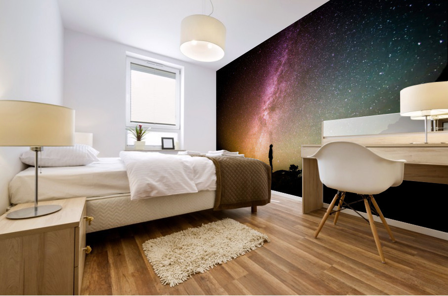3763 Mural print