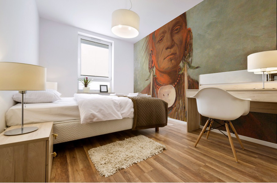 3800 Mural print