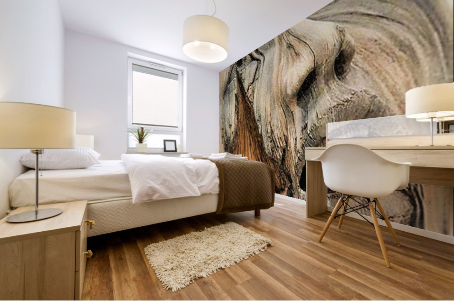 3848 Mural print