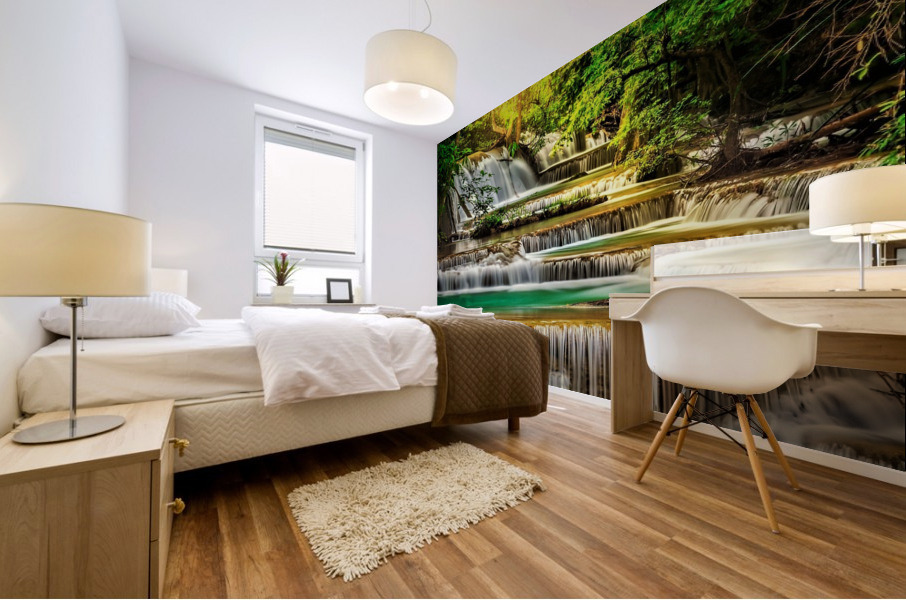 3881 Mural print