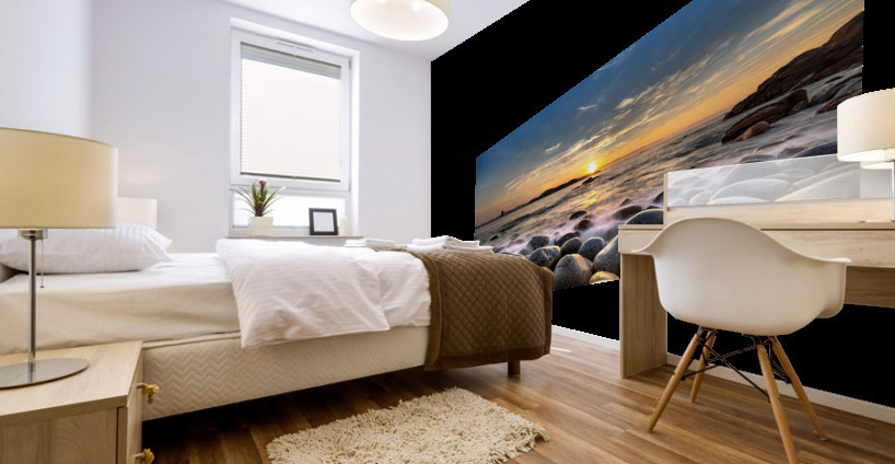 3885 Mural print